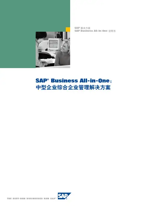 SAP All In One总体介绍