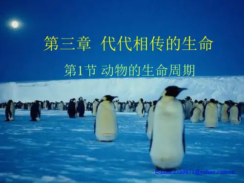 动物的生命周期中小学PPT教学课件