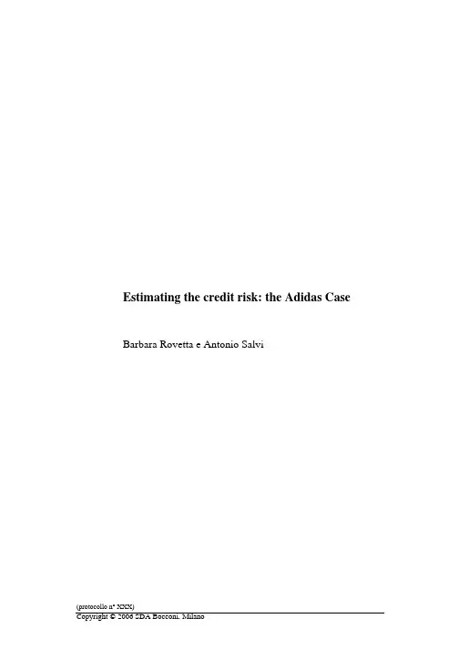 Capital structure - Adidas CASE