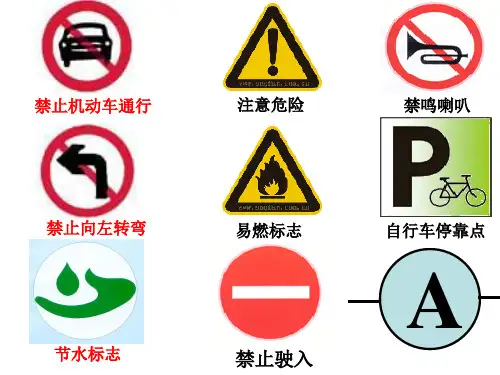 浙江八年级下册科学期末复习