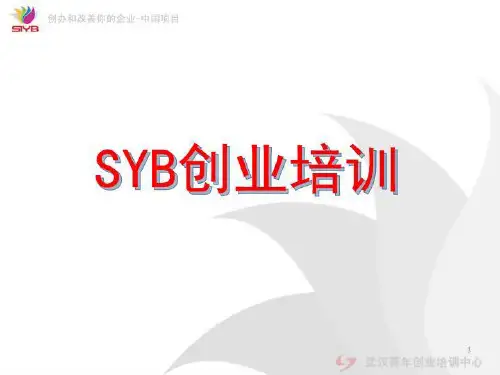 SYB第一步到十步课件
