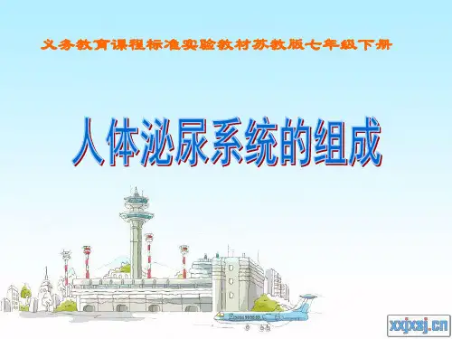 11.1人体泌尿系统的组成