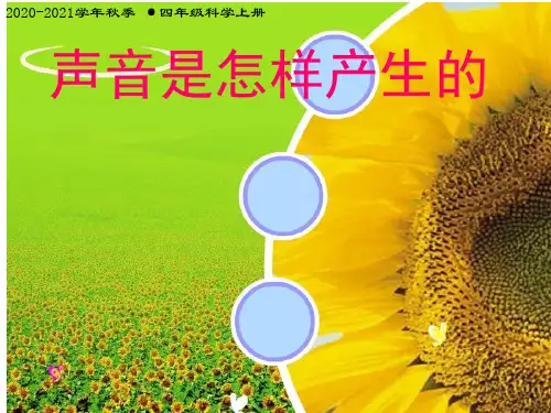 教科版四上科学_《声音是怎样产生的》课件