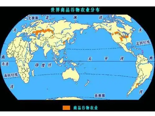 商品谷物农业