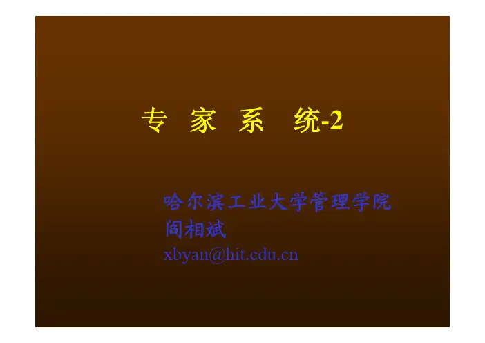专家系统