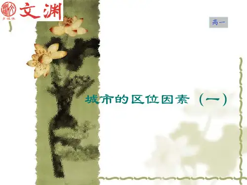 (完整版)城市区位分析