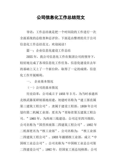 公司信息化工作总结范文