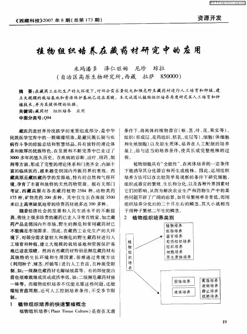 植物组织培养在藏药材研究中的应用