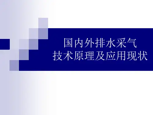国内外排水采气技术应用现状ppt 99页.ppt