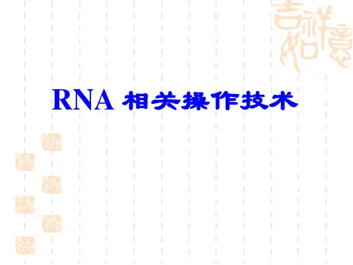 关于RNA的相关操作技术总结