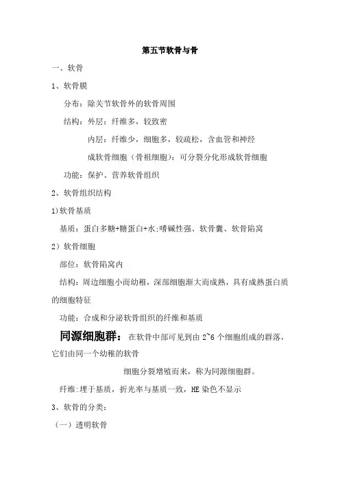 组织胚胎学分章节重点+课后习题第五章 软骨与骨