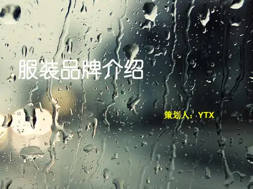 品牌介绍精品PPT课件