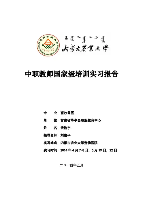 宠物医院实习报告