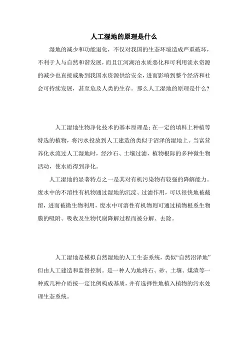 人工湿地的原理是什么