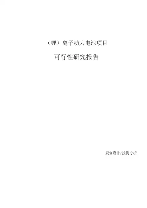 (锂)离子动力电池项目可行性研究报告参考模板.docx