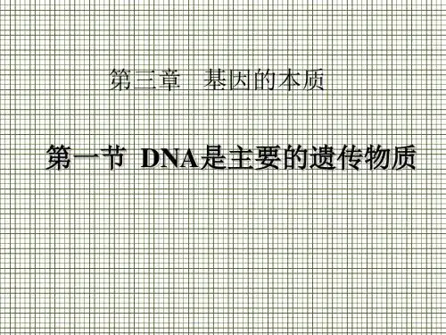 生物3.1《DNA是主要的遗传物质》课件(新人教版必修2)