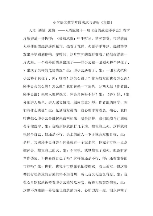 小学语文教学片段实录与评析