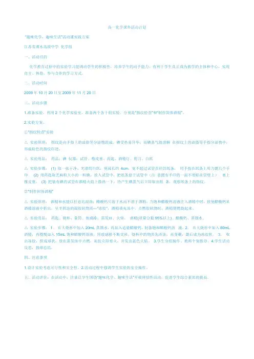 高一化学课外活动计划