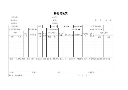 钻孔记录表