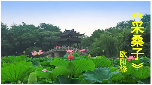 八上课后古诗-采桑子优质精品课件