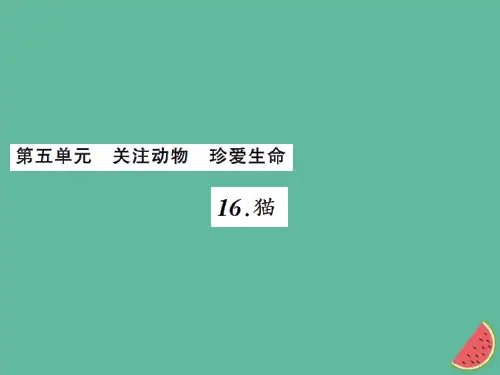 七年级语文上册第五单元16猫习题课件新人教版 (1)