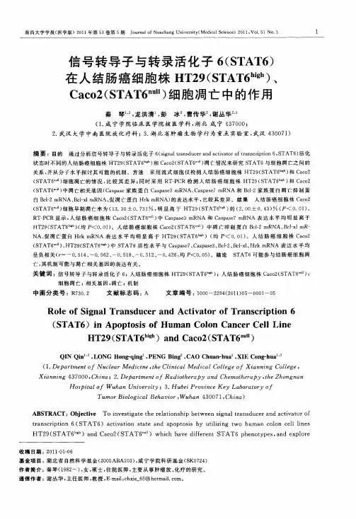 信号转导子与转录活化子6(STAT6)在人结肠癌细胞株HT29(STAT6 high)、Caco2(STAT6 null)细胞凋亡
