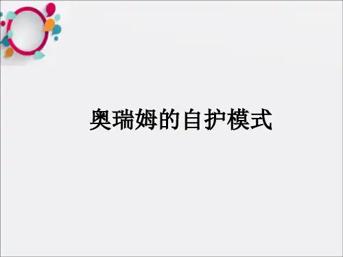 《奥瑞姆的自护模式》PPT课件