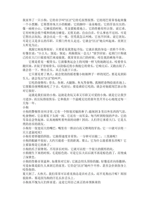 动物