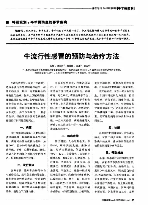牛流行性感冒的预防与治疗方法