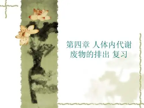 第四章 人体内代谢废物的排出 复习
