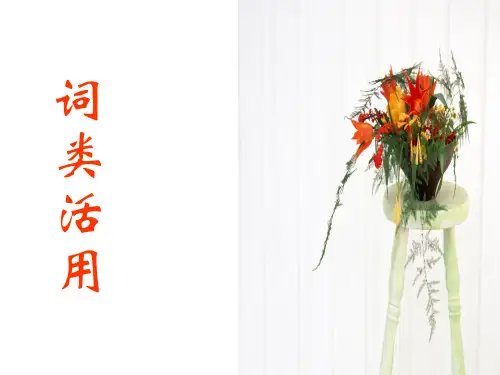 文言文词类活用复习