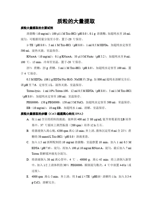 质粒的大量提取