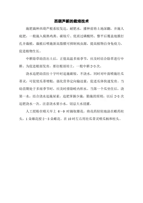 西葫芦新的栽培技术
