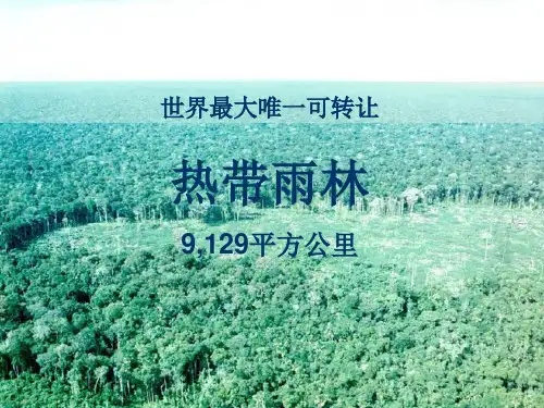 可转让热带雨林项目pptSlidesemtítul