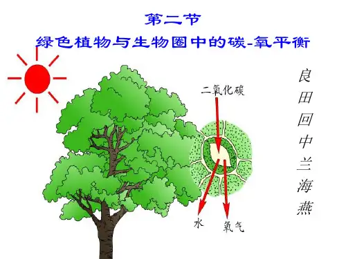 第2节绿色植物与生物圈中碳-氧平衡