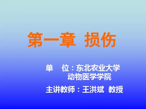 第1-2节软组织的非开放性损伤