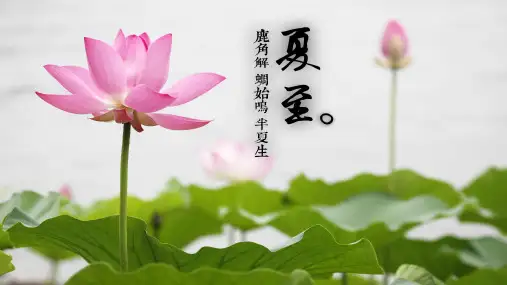 夏至日 夏至节气