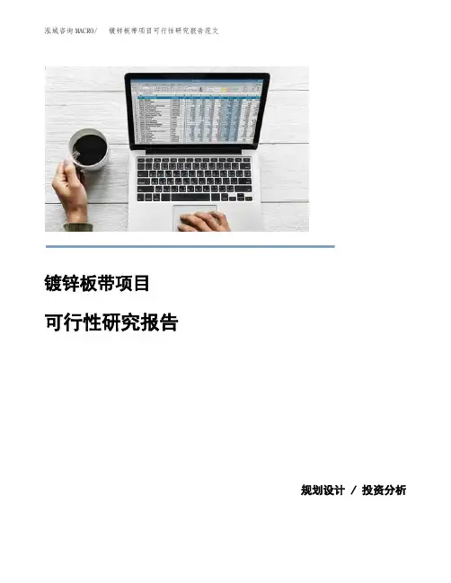 镀锌板带项目可行性研究报告范文