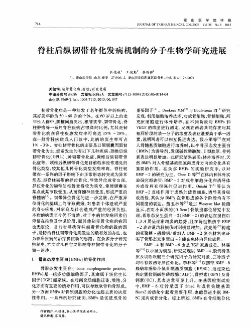 脊柱后纵韧带骨化发病机制的分子生物学研究进展