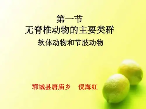 软体动物和节肢动物