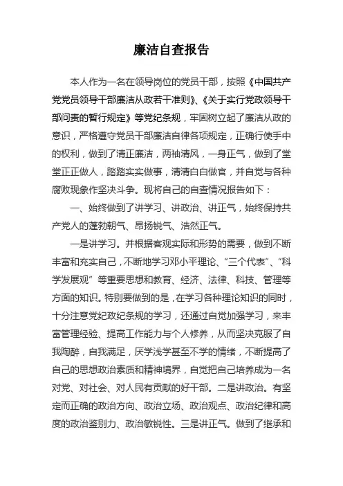 廉洁自律自查报告