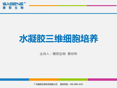三维细胞培养技术培训