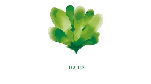高中英语人教版单词词性转换课件2