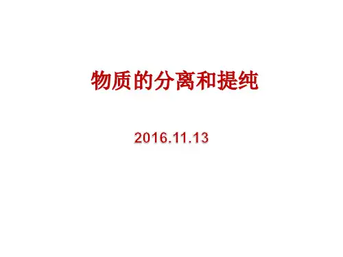 11.13物质的分离和提纯