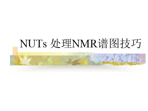 NUT核磁处理软件实用指南