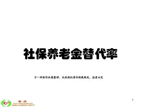 社会养老保险养老金替代率12页