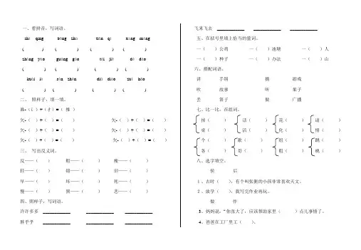 小学二年级基础能力测试大全