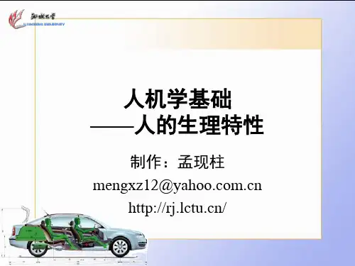 安全人机工程课件3人的生理特性