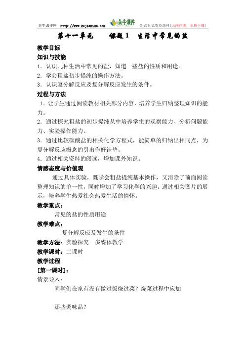 生活中常见的盐教案