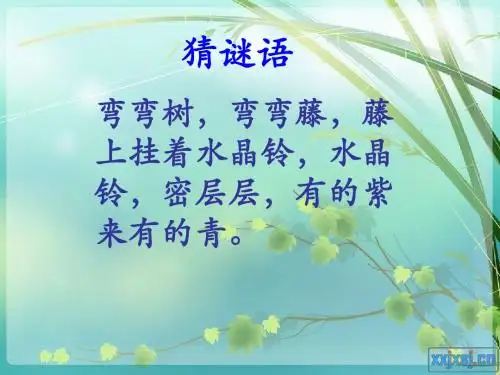 10.葡萄沟课件